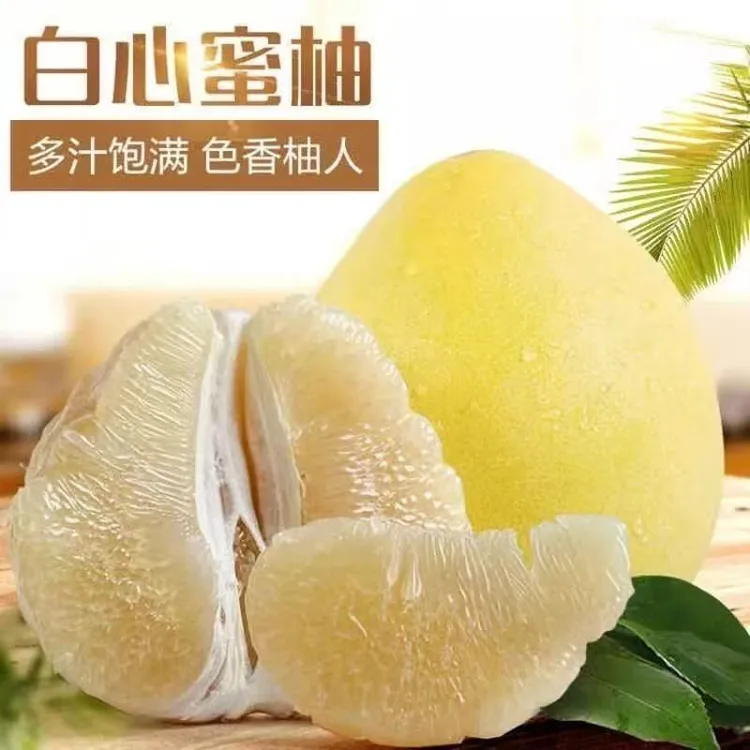 正宗白心蜜柚大柚子酸酸甜甜新鲜当季水果孕妇水果5-9斤包邮