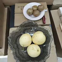 水果盘餐盘等货堆【种类款式随机发】货堆 JJ