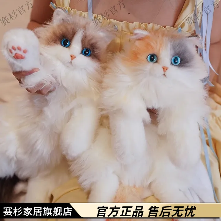 送女朋友仿真布偶猫背包小猫咪玩偶公仔毛绒布娃娃玩具生日礼物