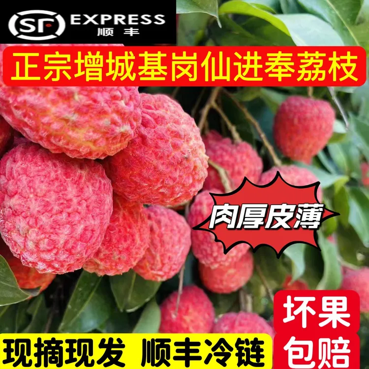 【顺丰包邮】5A仙进奉正宗增城仙村基岗果园现摘新鲜礼盒装坏果包赔