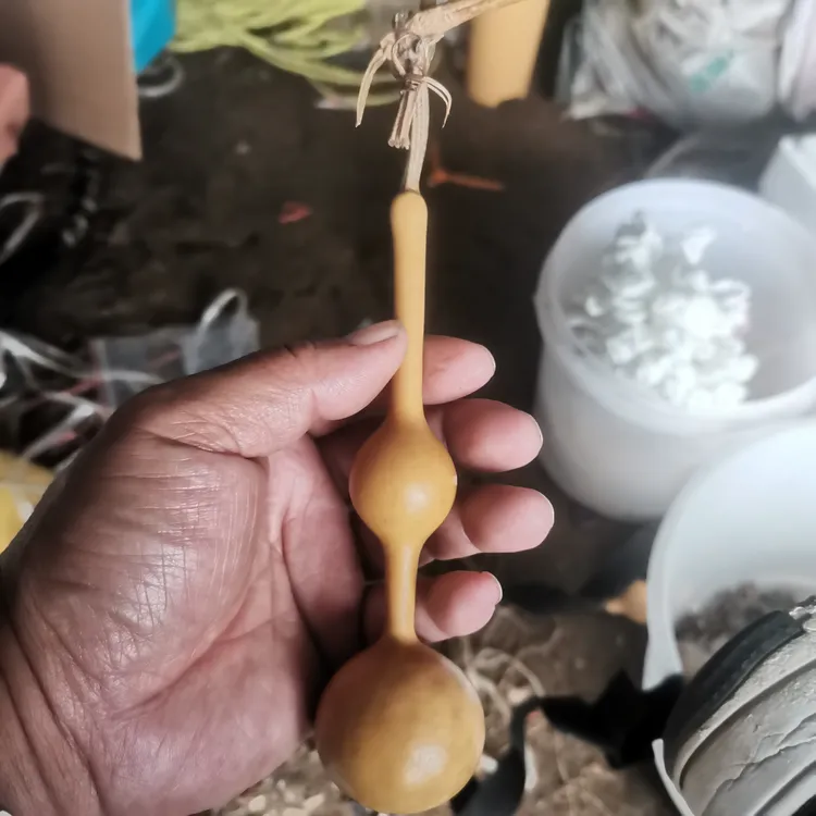 中小号三庭葫芦种子