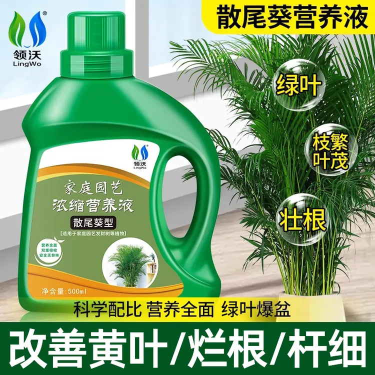 散尾葵专用营养液黄叶焦尖干枯不生长水溶肥绿叶宝叶面肥氮磷钾商品图