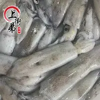 【拖网鱿鱼】肉质鲜甜厚壁紧实天然大小不一介意勿拍海捕炒鱿鱼