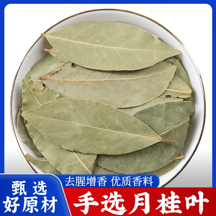 月桂叶中药材正品新鲜香叶香料调料商用批发月桂叶子煮泡水的功效