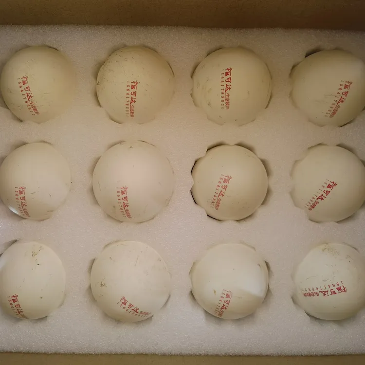 12枚生态散养土鹅蛋无抗鹅蛋孕妇小孩老人放心食用