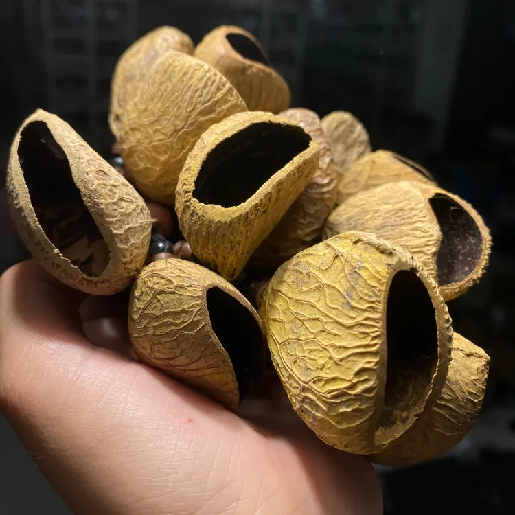 核桃挂件文玩铃铛菩提