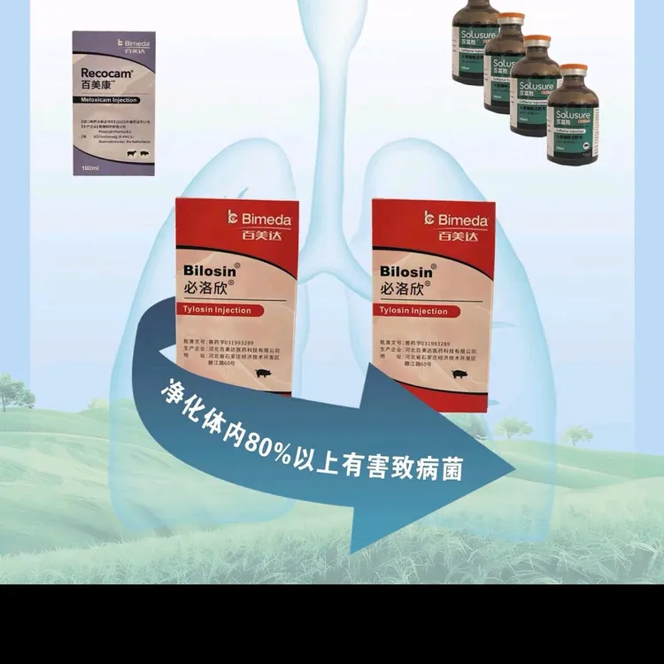 泰美拉（应急落地针）