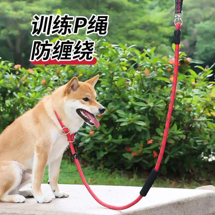 p绳p链狗狗牵引绳柴犬红色防爆冲金毛拉不拉多中大型犬宠物狗用品