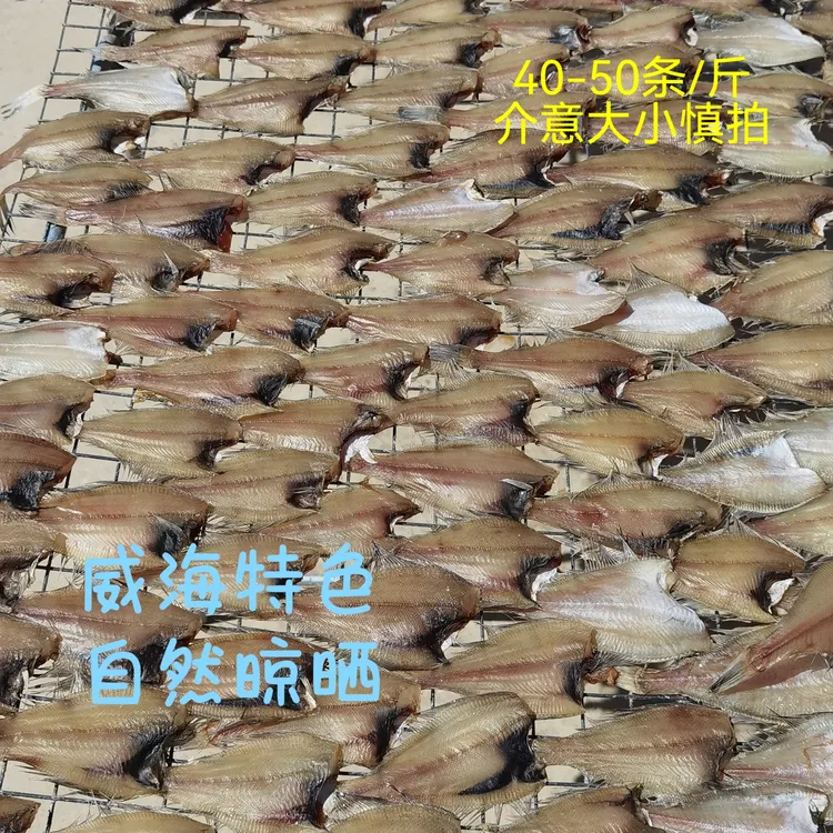 山东威海一卤鲜长脖鱼干偏口鱼干 淡干四成干（40-50条/斤）3斤包邮