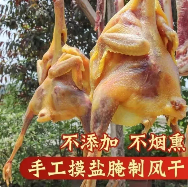 苏北特产风干鸡走地鸡手工腌制咸鸡手撕风干走地鸡1.6斤