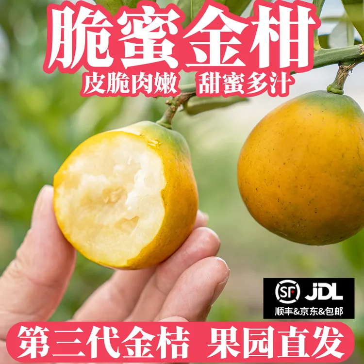 【礼盒装】正宗广西融安脆蜜金桔金柑第三代纯甜无籽带皮吃水果新鲜