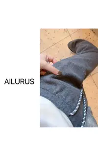 AILURUS【冬凌之恋】2025深圳欧货冬款厚款百搭休闲直筒卫裤