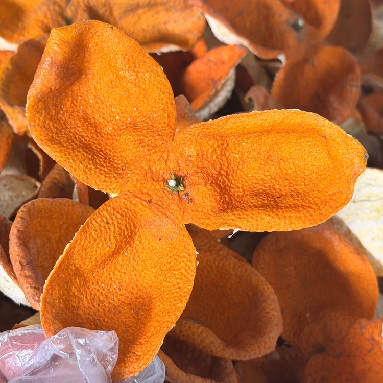 茶枝柑陈皮新皮大红皮