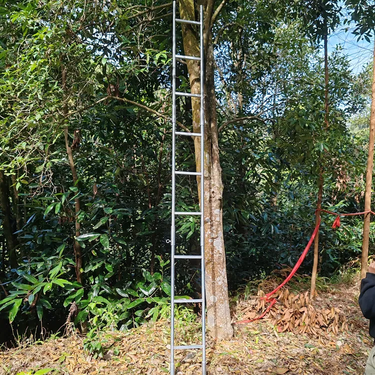 八角梯爬树梯爬树采摘神器楼梯上树家用多功能梯子户外果园螺丝款