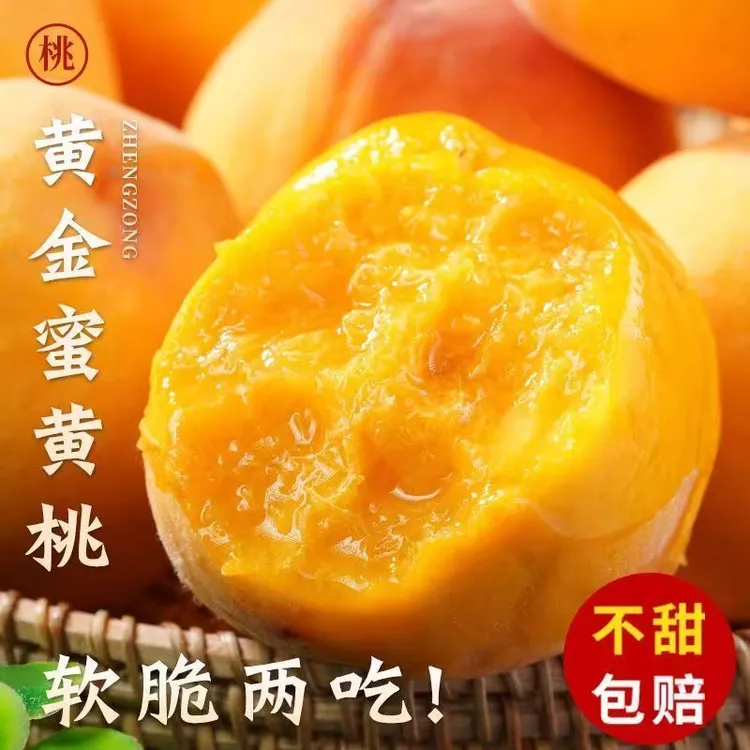 湖北正宗锦绣黄桃新鲜当季水果果园现摘现发孕妇水果爆甜多汁包邮