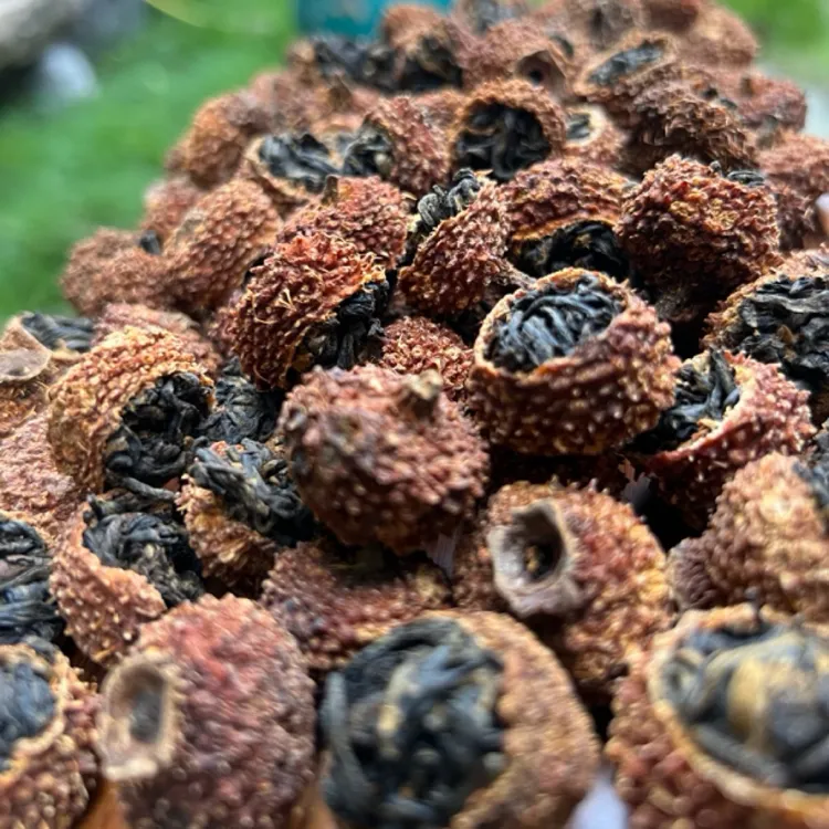 维C之王（贵州特产）刺梨配滇红茶2025年刺梨红茶 办公好饮品果酸味