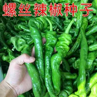 【满五包包邮】螺丝辣椒种子高产能种子四季蔬菜种子辣椒种籽