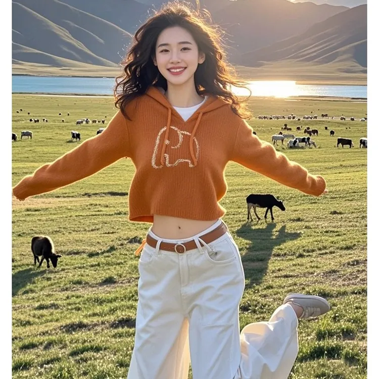 小众不撞款南瓜色连帽卡通小象卫衣女2025春季新款软糯慵懒风上衣