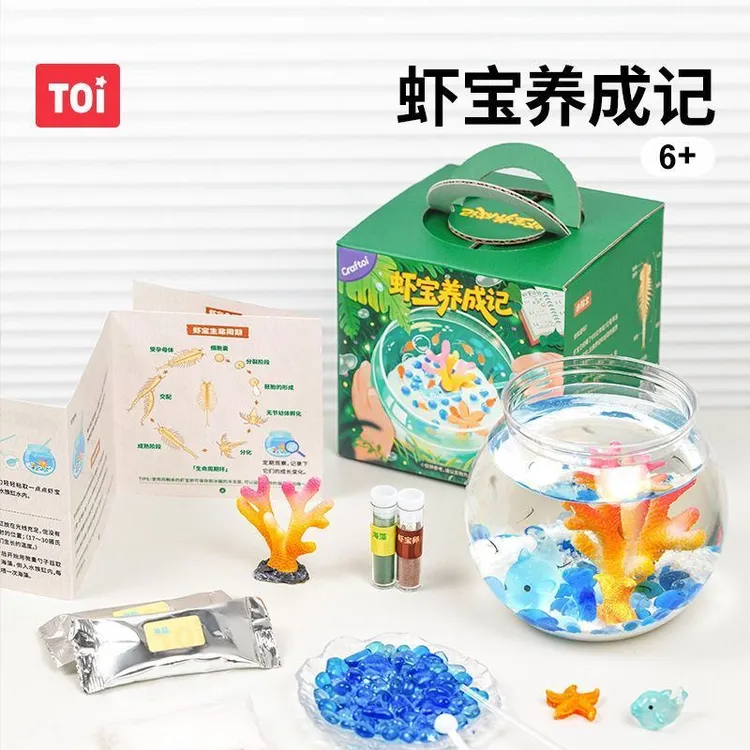 TOI图益虾宝养成记科学玩具养殖实验小学生生命孵化观察玩具女孩6