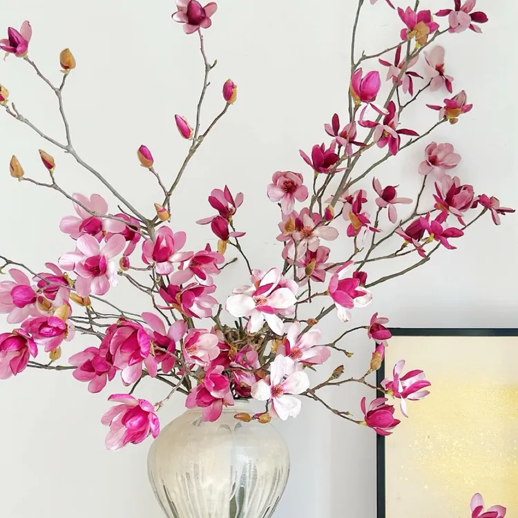 玉兰鲜花水培植物带花苞鲜枝浓香型室内客厅卧室水养花卉盆栽耐寒