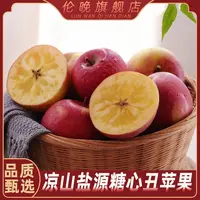 四川大凉山盐源冰糖心野生丑苹果应季新鲜水果 净重4.5斤/8斤X