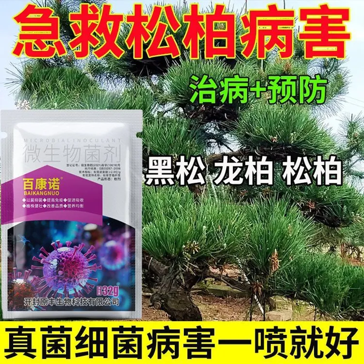 【松树剂】赤枯病松树叶枯病专用药松针发黄脱落叶斑病白粉病