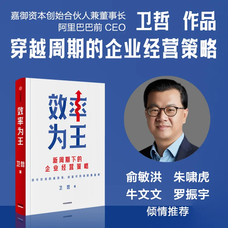  《效率为王》 效率的提升是一个企业强大之根本 卫哲作品 中信出版