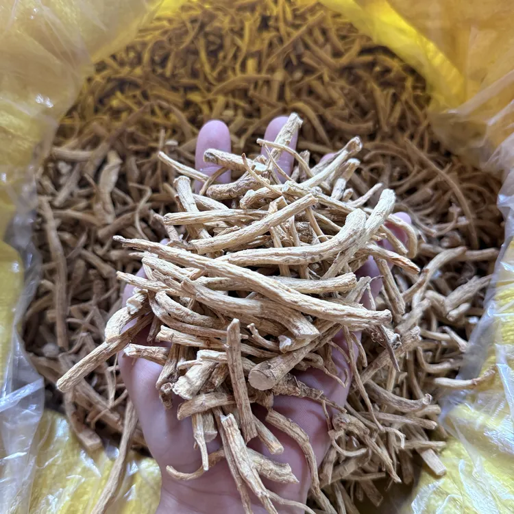 西洋参腿 原色货