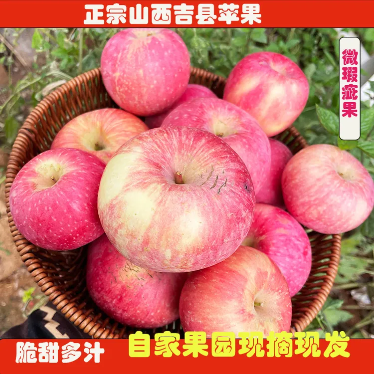 山西吉县产地直发脆甜多汁正宗红富士苹果水果微瑕疵果诞生中国