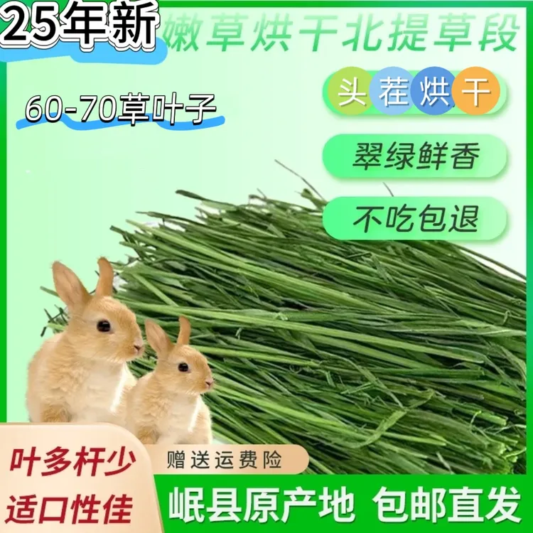 25年新鲜《精选头茬烘干》嫩绿兔子烘干干草荷兰猪主养兔子必备用品