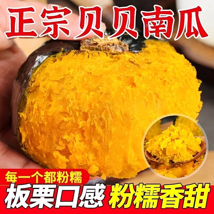 正宗内蒙古沙地贝贝南瓜板栗味浓郁粉糯香甜老品种南瓜宝宝辅食物