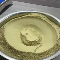 正宗新货铁皮石斛粉