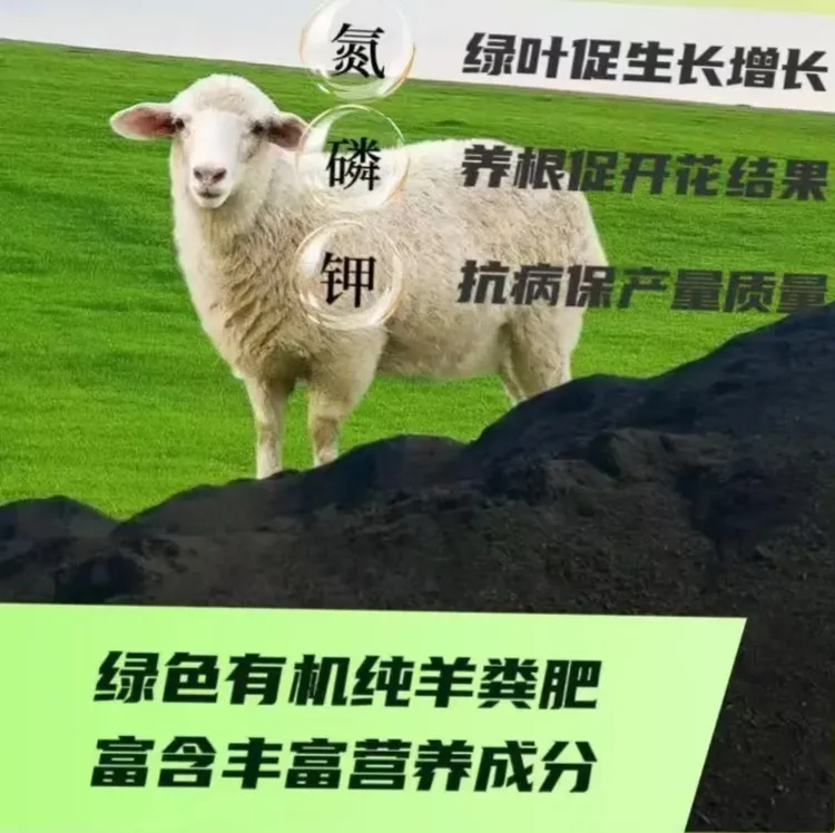 内蒙古大草原古六旗有机羊粪花卉田园菜园大棚绿植高温发酵有机肥