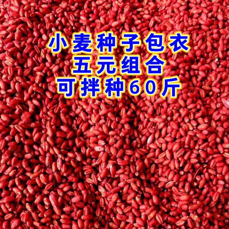 沃巴盾高端小麦专用生物拌种组合防病出苗齐出苗快生根壮苗组合