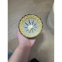 茶器茶杯 金龙鳞