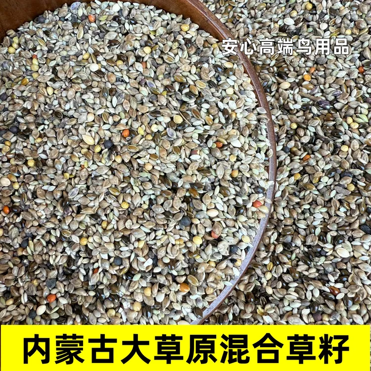 内蒙古大草原混合草籽 玉鸟丝雀麻料黄雀百灵等 一斤一袋真空包装