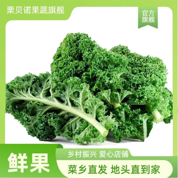 羽衣甘蓝新鲜蔬菜嫩叶甘兰纤体果蔬榨汁轻食食材西餐沙拉蔬菜kale