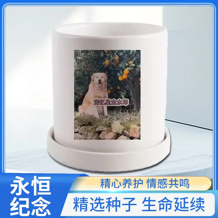 【养宠必备】定制宠物成长纪念套盒狗狗猫咪留念陪伴套装