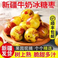【顺丰空运】新疆正宗冬枣冰糖战牌脆枣大枣特大牛奶冬枣水果