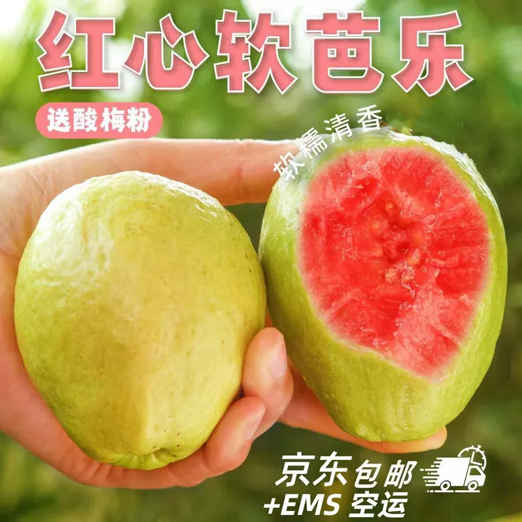 【收到放软吃】广西红心软芭乐净重3斤5斤番石榴新鲜水果