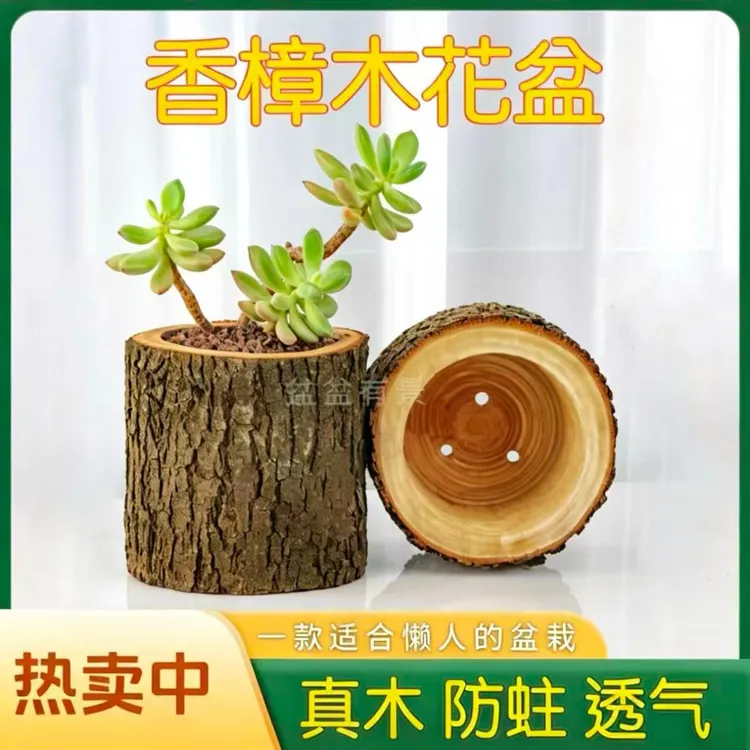 香樟木花盆花瓶多肉花盆木头花盆多肉盆花盆阳台改造用品实木花盆商品图