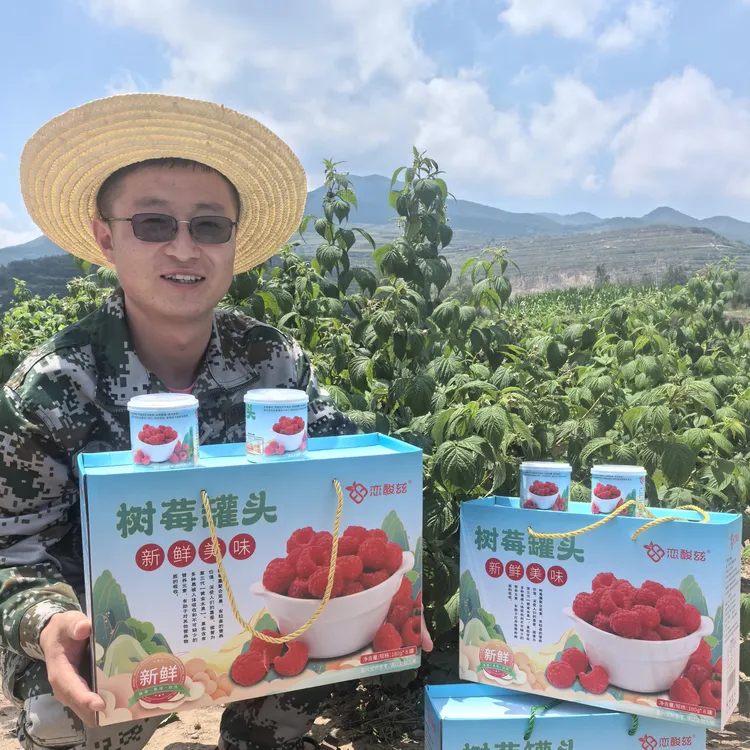 来自兰州高原的树莓罐头覆盆子鲜果制作鲜甜可口男女朋友爱吃