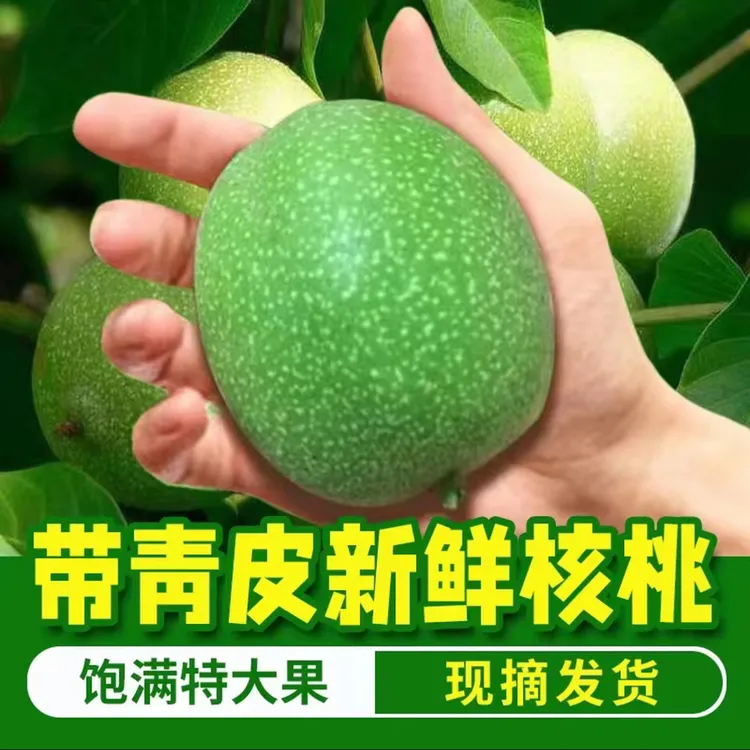 太行山新鲜带青皮湿核桃去皮鲜核桃干核桃散装记重现摘新货送工具