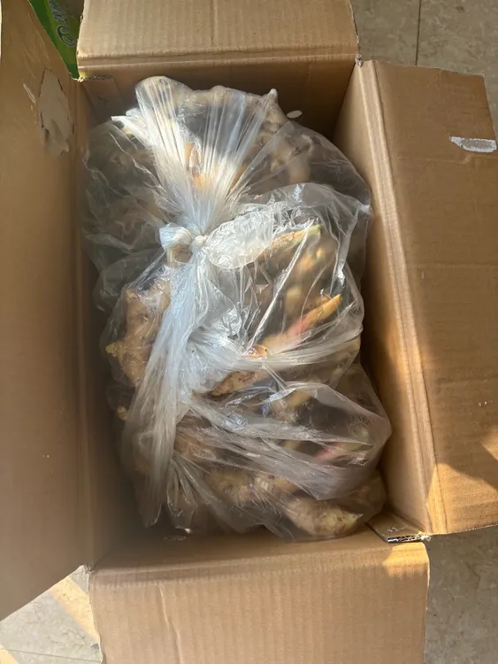 产地大姜 绿色标准 放心食用