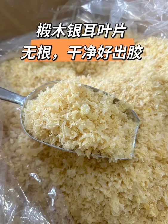 【碎银耳】椴木小银耳碎银耳干净出胶不熏硫磺雪耳白木耳碎银耳羹
