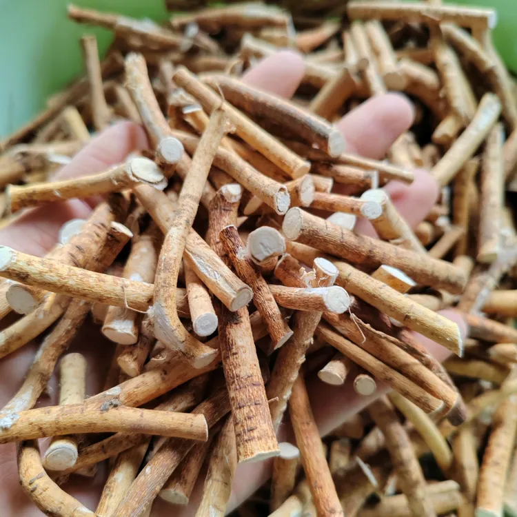 正宗五指毛桃【切段小中段】原色原味煮水煲汤干货