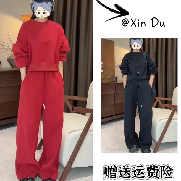2025秋季新款时尚显瘦气质女士网红洋气两件套百搭款D22604
