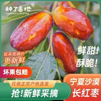 【飞机空运】宁夏灵武长枣新鲜脆甜薄皮应季水果产地直发包邮