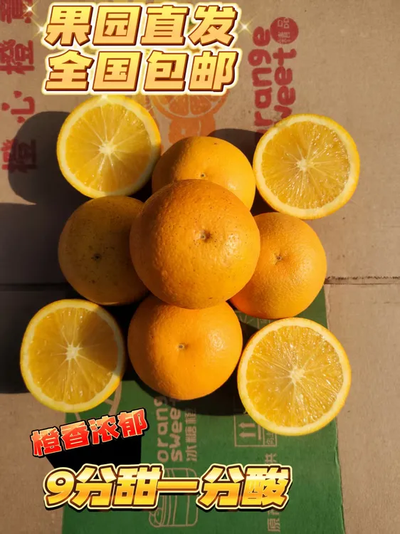 湖南怀化麻阳（锦蜜）冰糖橙爆甜多汁果园现摘现发全国包邮