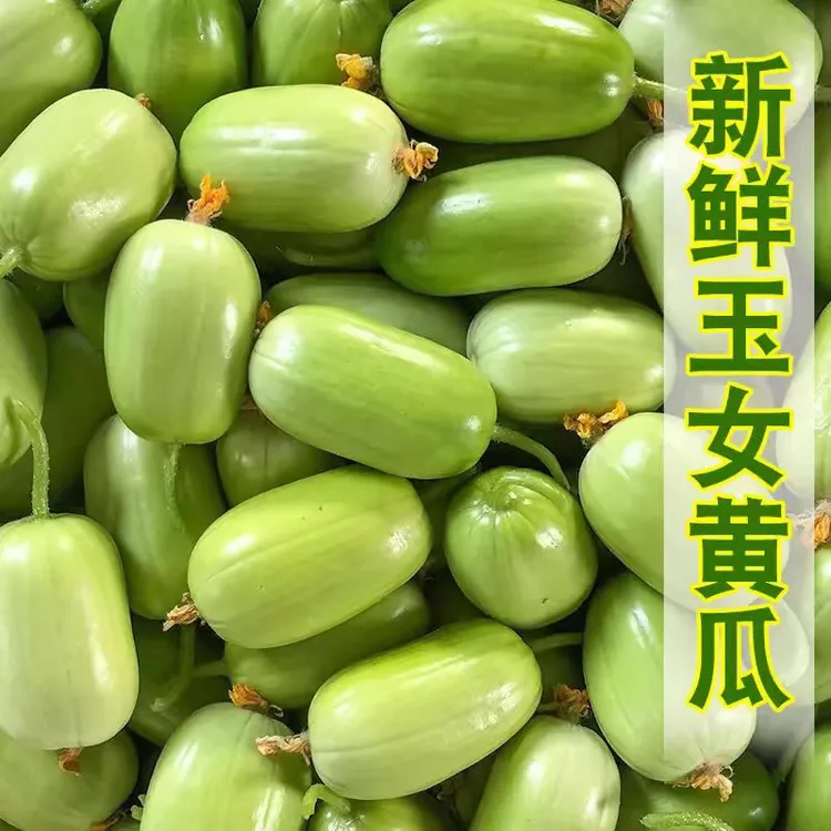 山东寿光特产玉女拇指小黄瓜新鲜现摘青瓜脆嫩皮薄多汁水果黄瓜